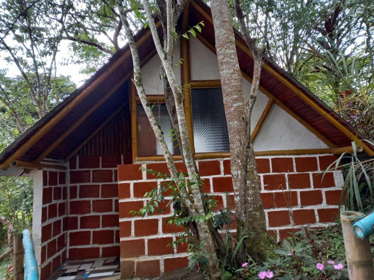 Eco Hotel Manu Viajeros San Agustín Exterior foto